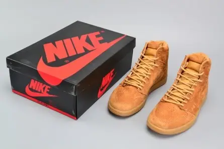 Minimalist 604 Air Jordan 1 Retro High OG 