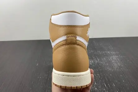 Modern 7117 Jordan 1 Retro High OG Praline (Women's)  FN6622-201  ABC276