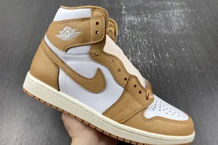 Modern 7117 Jordan 1 Retro High OG Praline (Women's)  FN6622-201 