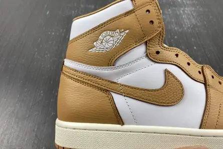 Modern 7117 Jordan 1 Retro High OG Praline (Women's)  FN6622-201 