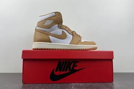 Modern 7117 Jordan 1 Retro High OG Praline (Women's)  FN6622-201 
