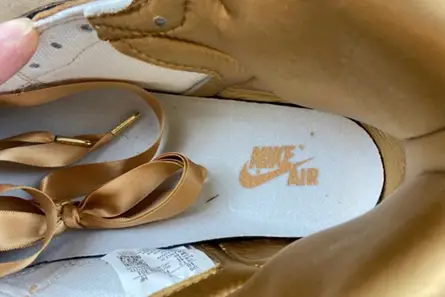 Modern 7117 Jordan 1 Retro High OG Praline (Women's)  FN6622-201 
