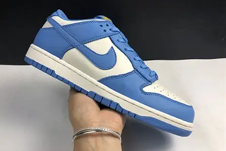 NIKE DUNK LOW HUOHGA DD1503-100 Efficient 478 