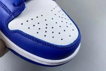 NIKE SB DUNK LOW CU1726-100 Practical 721 
