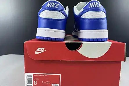 NIKE SB DUNK LOW CU1726-100 Practical 721 