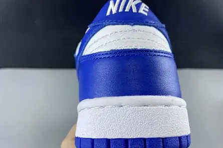 NIKE SB DUNK LOW CU1726-100 Practical 721 