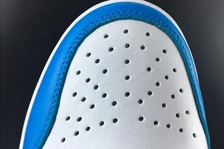 NIKE SB x AIR JORDAN 1 LOW Comfortable 9054 