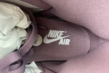 NewStyle 8885 Jordan 1 Retro High OG Sky J Mauve  DZ5485-105 