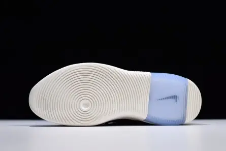 Nike Air Fear of God 1 Black AR4237-001 Compact 4026 