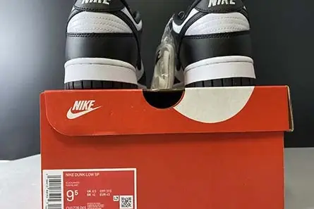 Nike Dunk Low CU1726-001 GoodFit 3007 