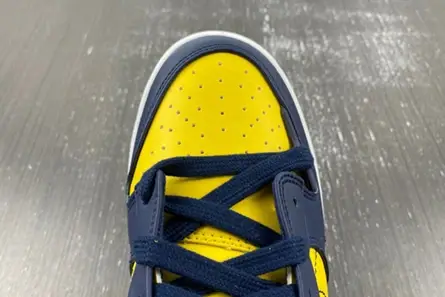 Nike Dunk Low Disrupt 2 Michigan (Women's) DV4024-400 Classic 8072 