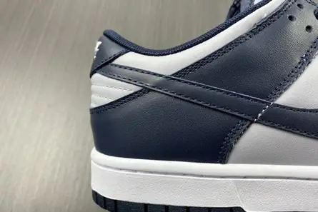 Nike Dunk Low Georgetown DD1391-003 AllSeason 9020 