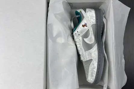 Nike Dunk Low Ice  DO2326-001 EyeCatching 6055 