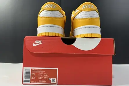 Nike Dunk Low Laser Orange (W) DD1503-800 Stylish 9173 