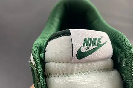Nike Dunk Low Michigan State DD1391-101 Compact 5453 