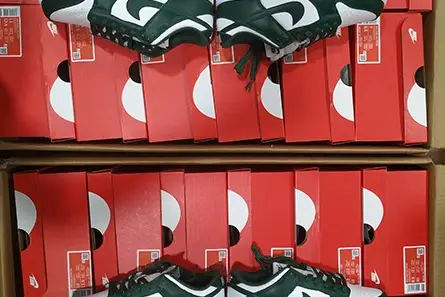 Nike Dunk Low Michigan State DD1391-101 Compact 5453 