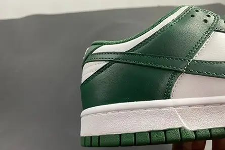 Nike Dunk Low Michigan State DD1391-101 Compact 5453 