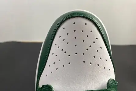 Nike Dunk Low Michigan State DD1391-101 Compact 5453 