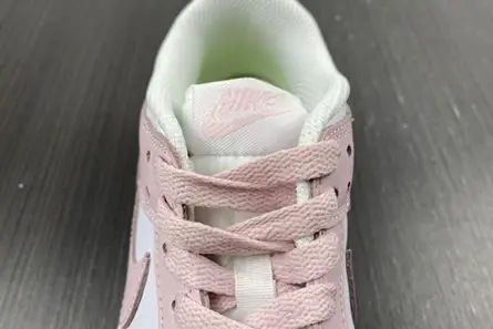Nike Dunk Low Next Nature Pale Coral DD1873-100 Sophisticated 9461 