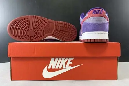 Nike Dunk Low “Plum” CU1726-500 Functional 5874 