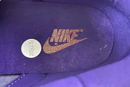 Nike Dunk Low “Plum” CU1726-500 Functional 5874 