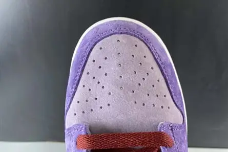 Nike Dunk Low “Plum” CU1726-500 Functional 5874 