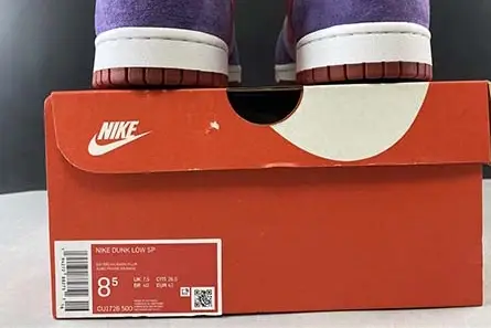 Nike Dunk Low “Plum” CU1726-500 Functional 5874 