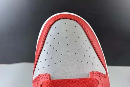 Nike Dunk Low SB CU1726-600 Cozy 7557 