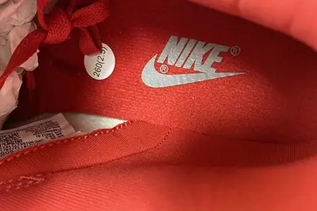 Nike Dunk Low SB CU1726-600 Cozy 7557 