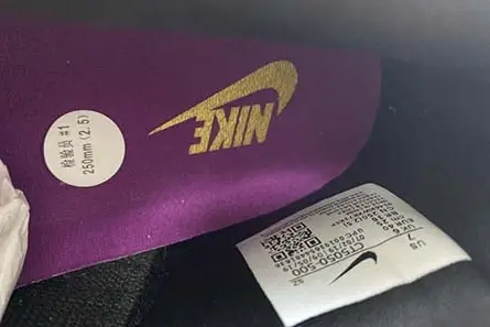 Nike Dunk Low SB Viotech CT5050-500 Sophisticated 1459 