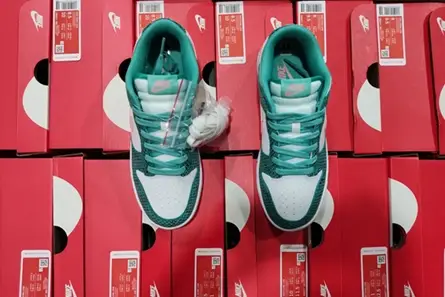 Nike Dunk Low Snakeskin Washed Teal Bleached Coral  DR8577-300 GoAnywhere 1229 