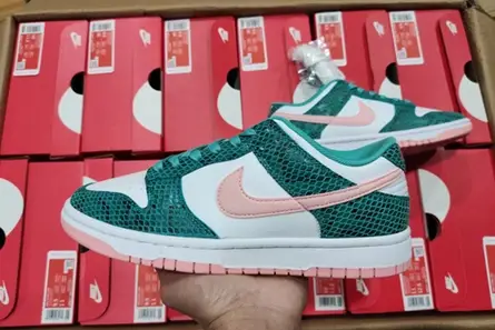 Nike Dunk Low Snakeskin Washed Teal Bleached Coral  DR8577-300 GoAnywhere 1229 