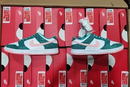 Nike Dunk Low Snakeskin Washed Teal Bleached Coral  DR8577-300 GoAnywhere 1229 