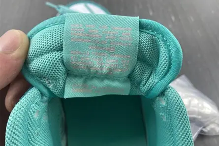 Nike Dunk Low Snakeskin Washed Teal Bleached Coral  DR8577-300 GoAnywhere 1229 