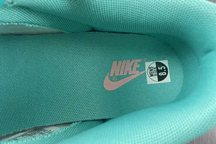 Nike Dunk Low Snakeskin Washed Teal Bleached Coral  DR8577-300 GoAnywhere 1229 