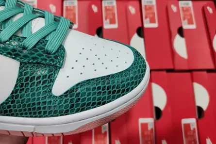 Nike Dunk Low Snakeskin Washed Teal Bleached Coral  DR8577-300 GoAnywhere 1229 