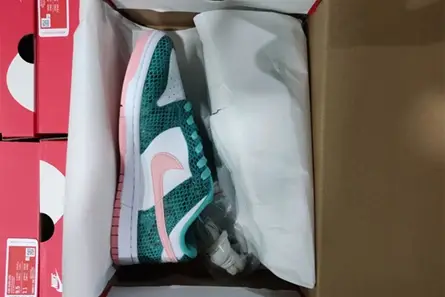 Nike Dunk Low Snakeskin Washed Teal Bleached Coral  DR8577-300 GoAnywhere 1229 