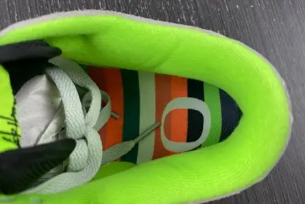 Nike Dunk Low University of Oregon PE FQ7260-001 Practical 6571 