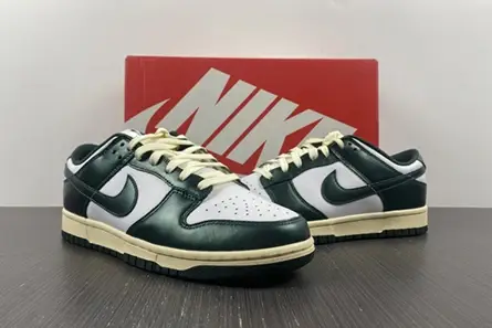 Nike Dunk Low Vintage Green (W) DQ8580-100 GoAnywhere 8191 