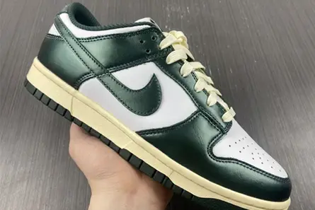Nike Dunk Low Vintage Green (W) DQ8580-100 GoAnywhere 8191 
