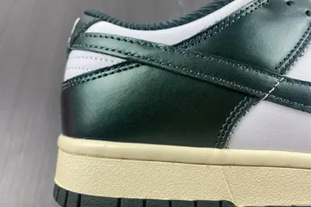 Nike Dunk Low Vintage Green (W) DQ8580-100 GoAnywhere 8191 