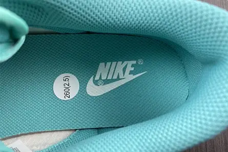Nike Dunk Low White Turquoise  DV2190-100 Vibrant 4434 