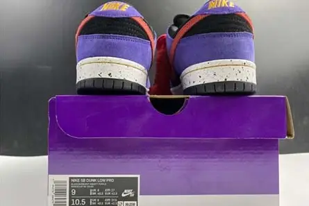 Nike SB Dunk Low ACG BQ6817-008 StreetReady 9395 