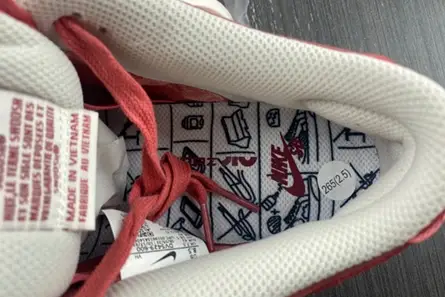 Nike SB Dunk Low Adobe  DV5429-600 Compact 4833  BBE961