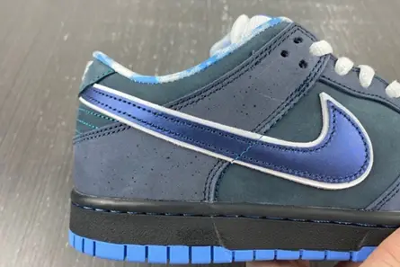 Nike SB Dunk Low Concepts Blue Lobster  313170-342 DailyWear 1962 