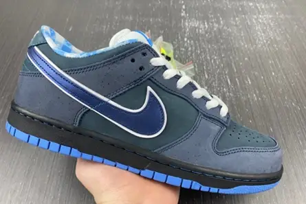 Nike SB Dunk Low Concepts Blue Lobster  313170-342 DailyWear 1962 