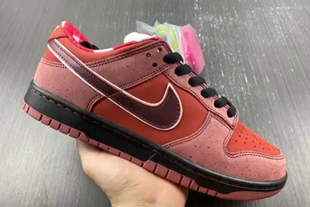Nike SB Dunk Low Concepts Red Lobster  313170-661 GoAnywhere 3320 