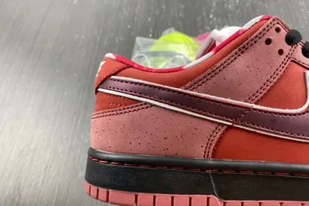 Nike SB Dunk Low Concepts Red Lobster  313170-661 GoAnywhere 3320 