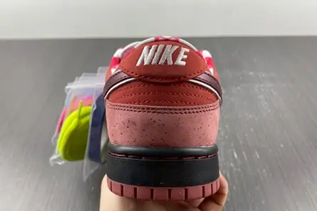 Nike SB Dunk Low Concepts Red Lobster  313170-661 GoAnywhere 3320 