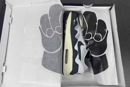 Patta x Nike Air Max 1 DH1348-002 Lightweight 3855 